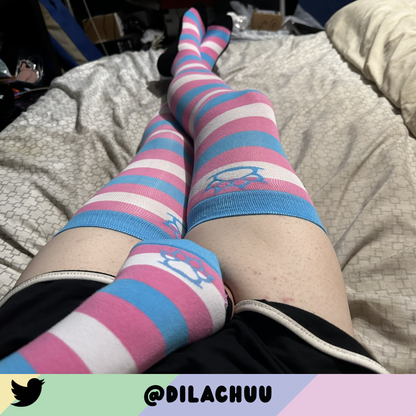 Trans Pride Sockies