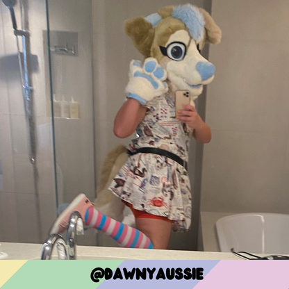 Trans Pride Sockies