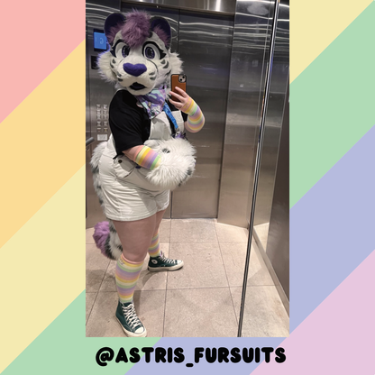 Pastel Rainbow Sockies
