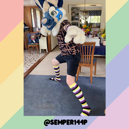 Enby Pride Sockies
