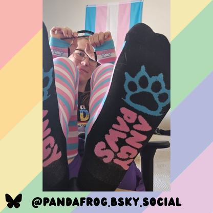Trans Pride Sockies