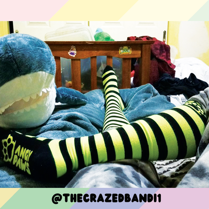 Neon Yellow vs Black Knee Socks