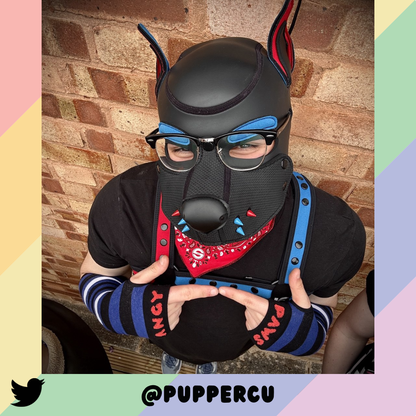 Pup Pride Arm Warmers