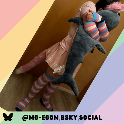 Trans Pride Sockies
