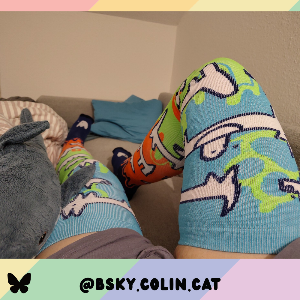 Pack of Idiots Sockies