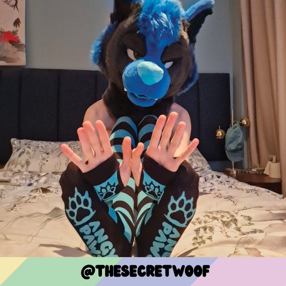 Light Blue vs Black Sockies