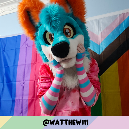 Mitaines aux couleurs de la Fierté trans