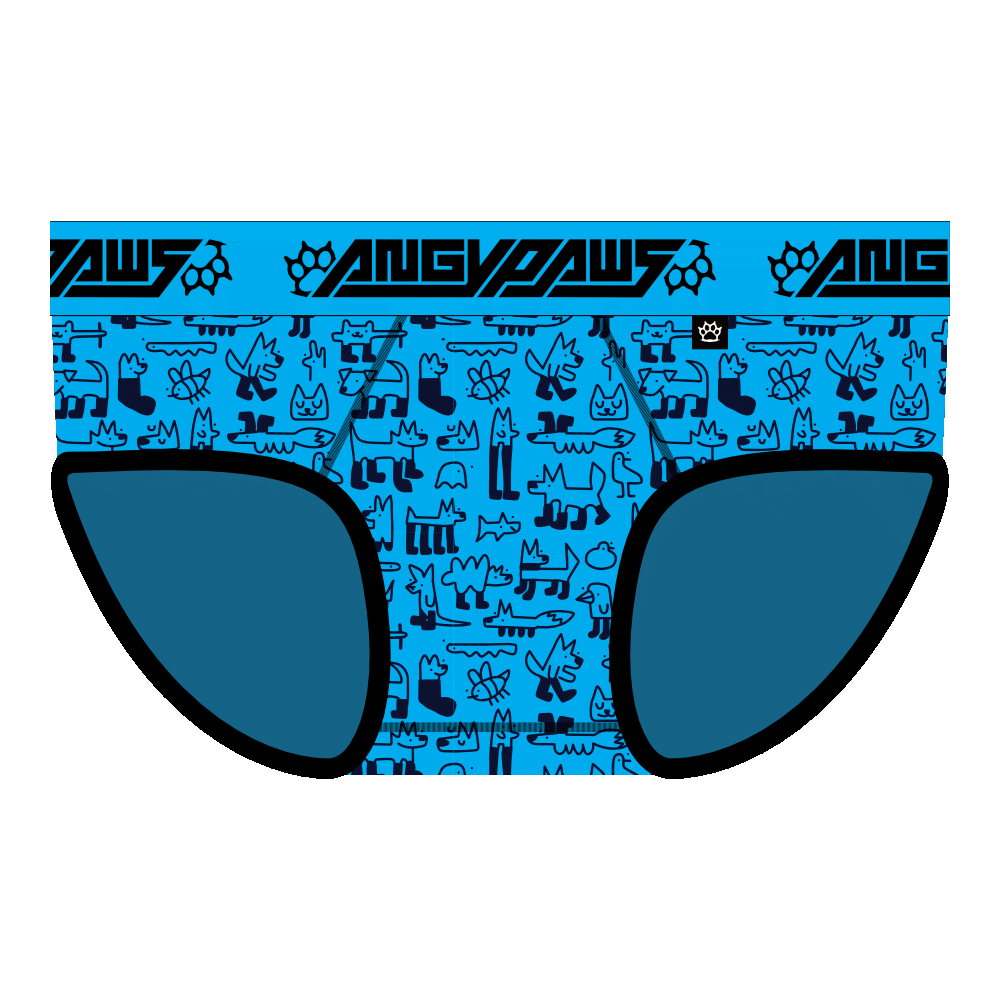 Socking Idiots Brief