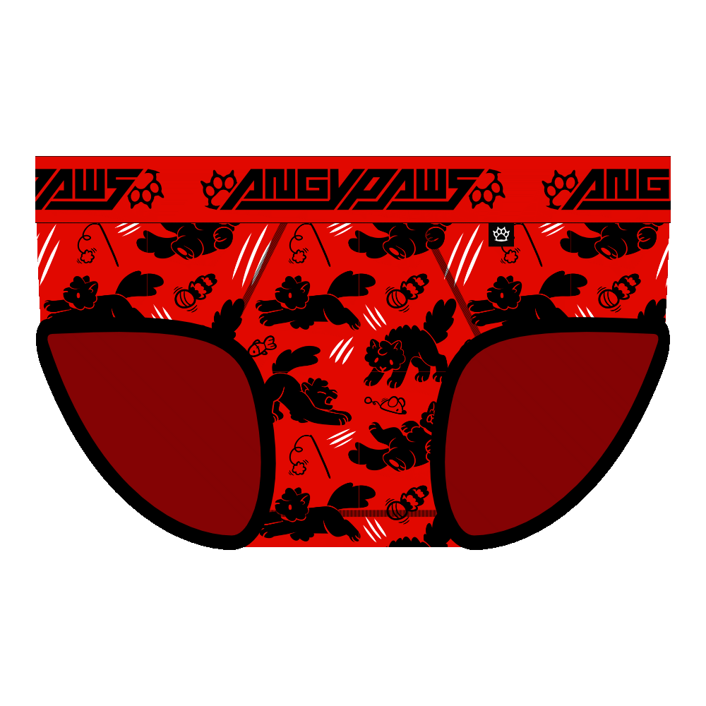 Vandal Brief