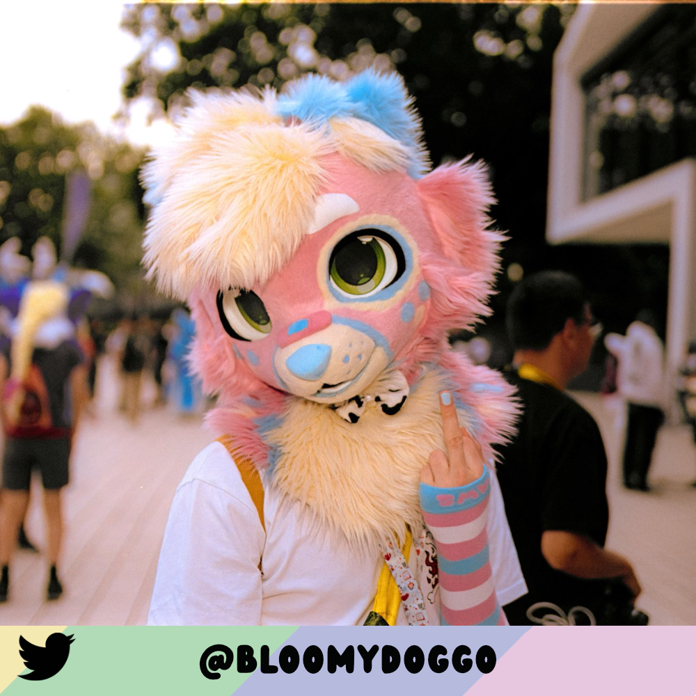 Trans Pride Arm Warmers