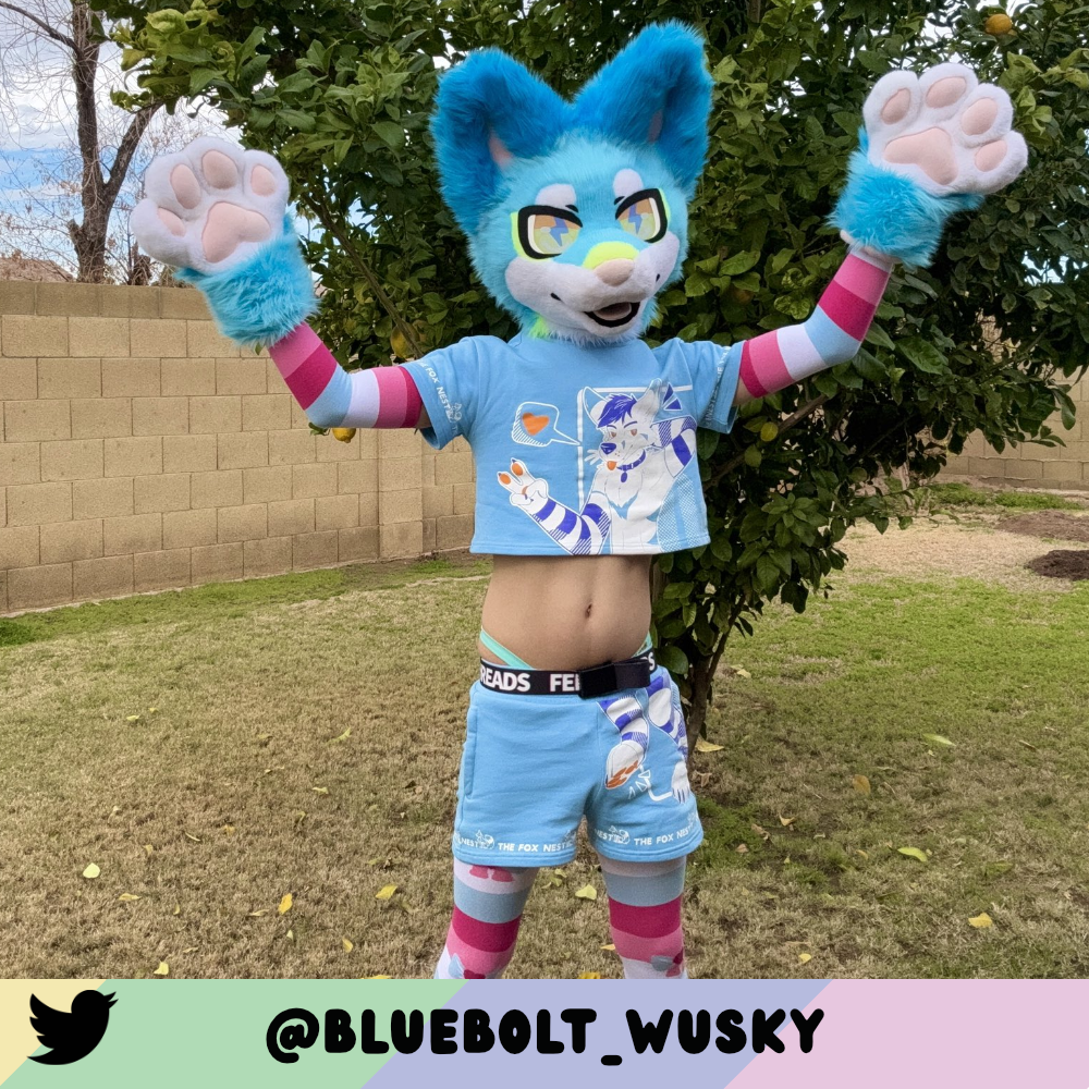 Femboy Pride Arm Warmers