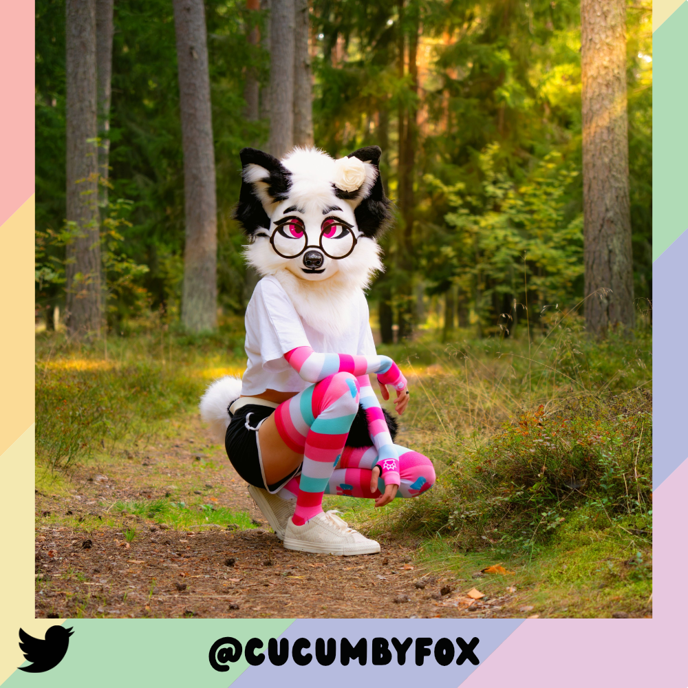 Femboy Pride Thigh High Sockies