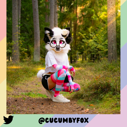 Femboy Pride Arm Warmers