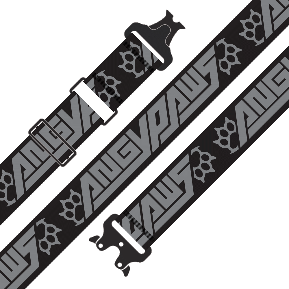 Stash Strap / Hip Hugger Belt