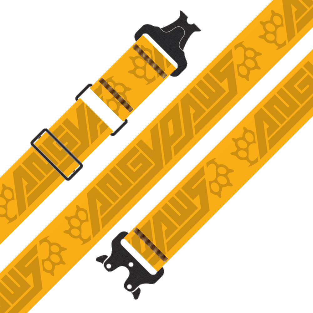 Stash Strap / Hip Hugger Belt