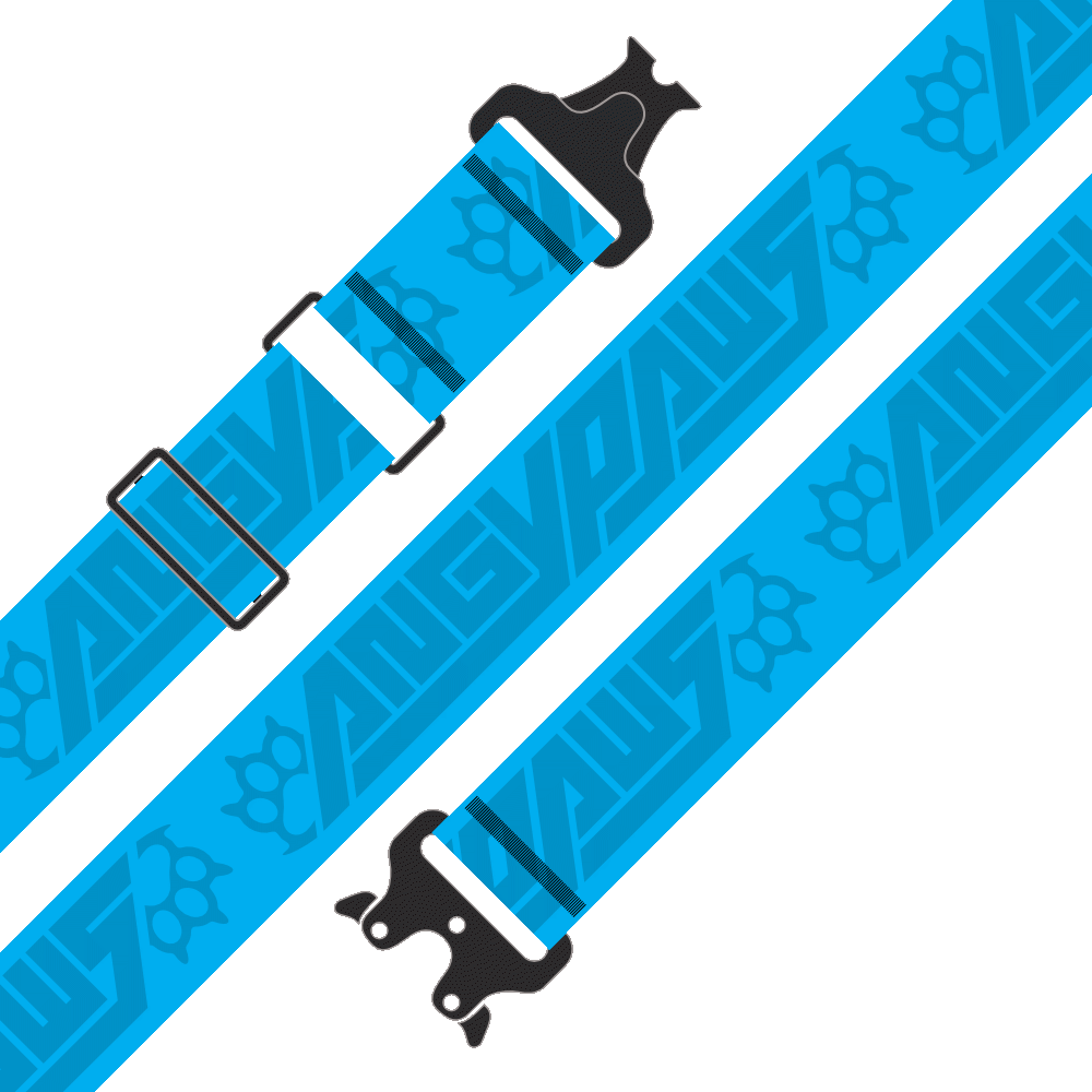 Stash Strap / Hip Hugger Belt