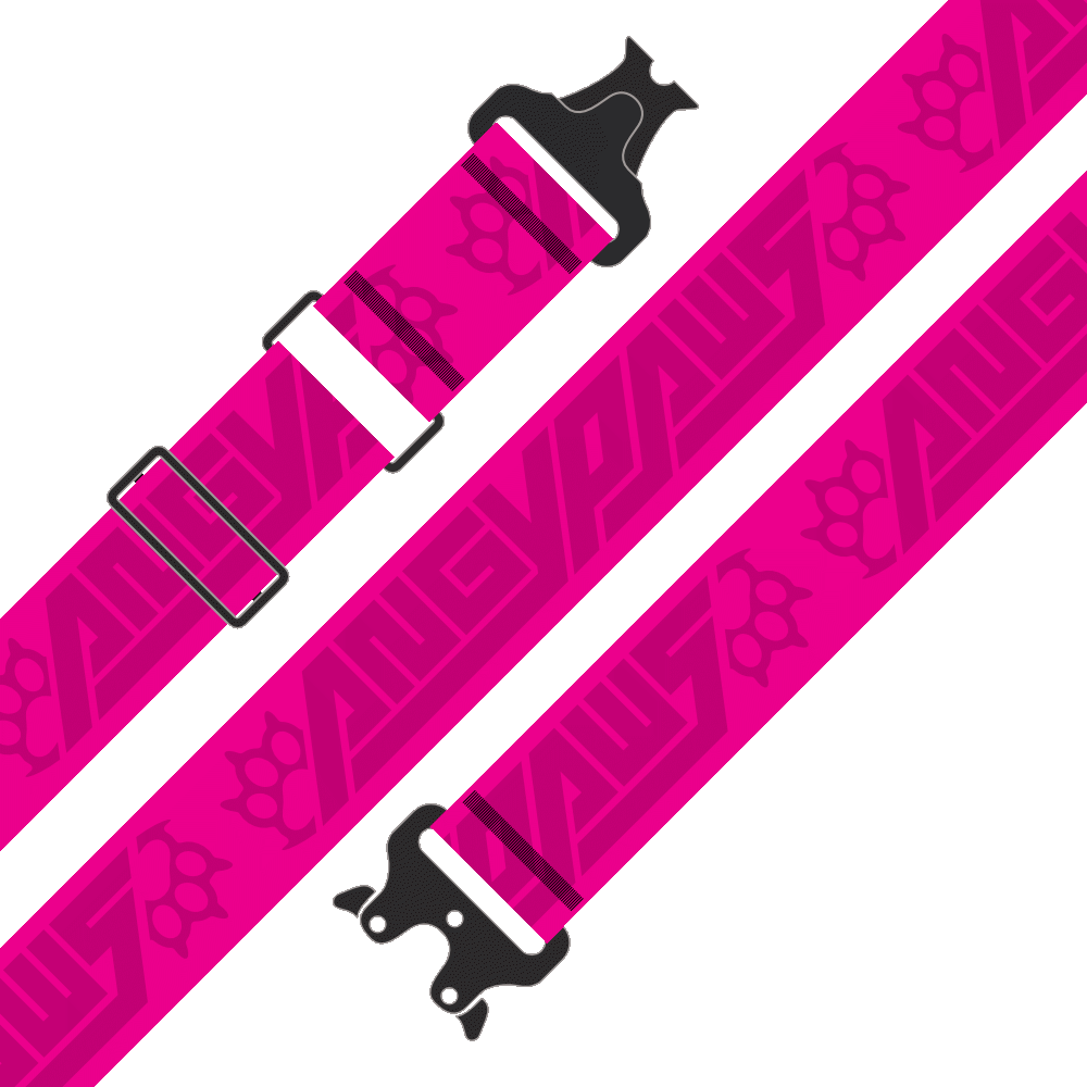 Stash Strap / Hip Hugger Belt