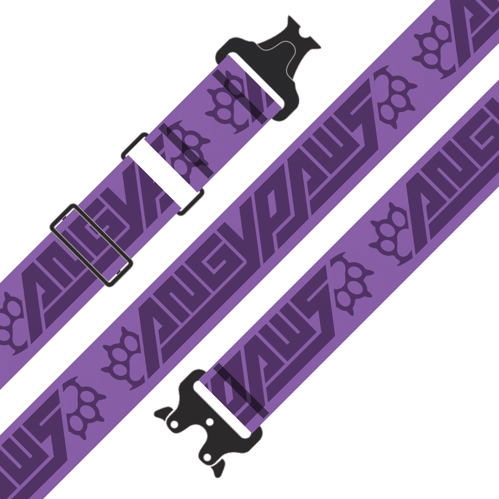 Stash Strap / Hip Hugger Belt