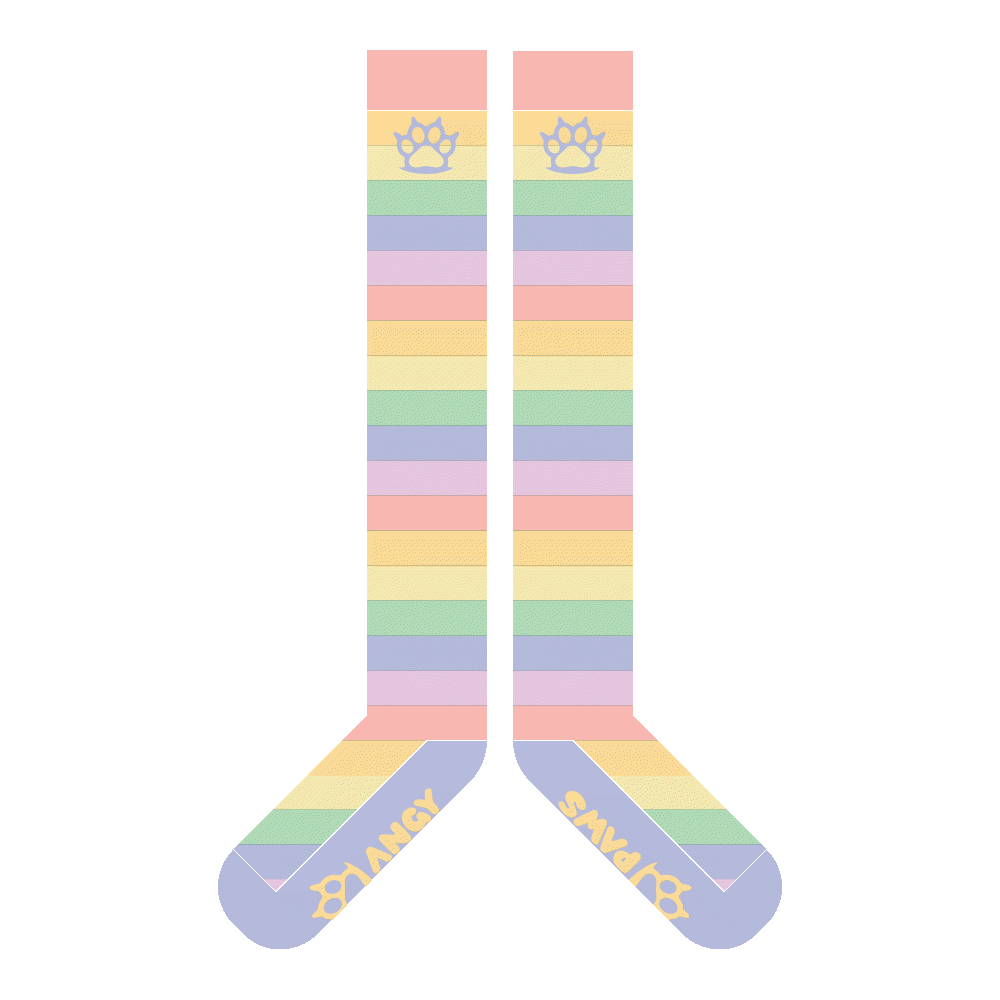 Pastel Rainbow Sockies