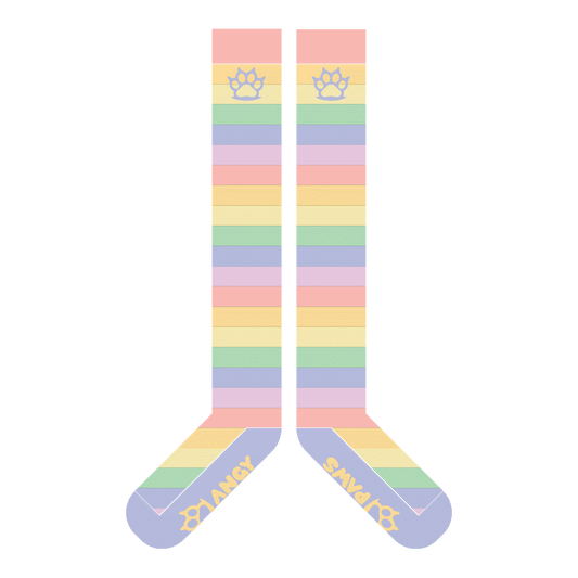 Pastel Rainbow Sockies