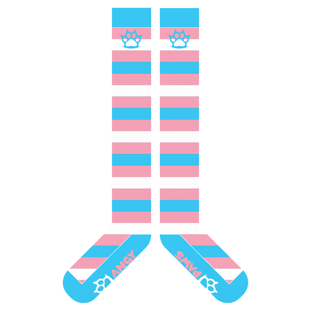 Trans Pride Sockies