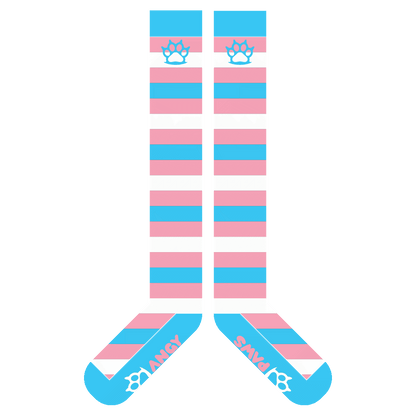 Trans Pride Sockies