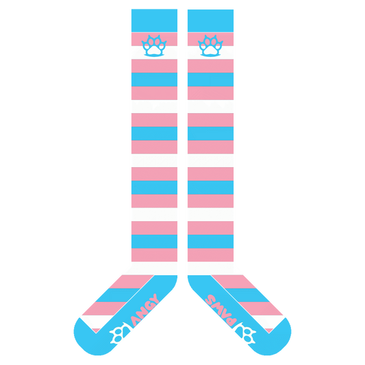 Trans Pride Sockies