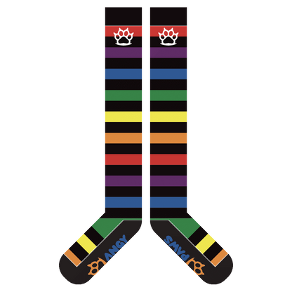 Rainbow vs Black Sockies
