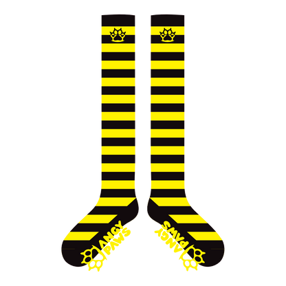 Neon Yellow vs Black Knee Socks