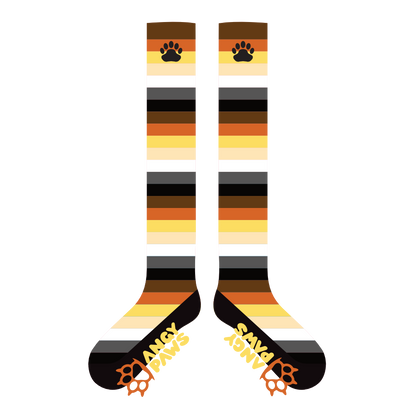 Bear Pride Sockies