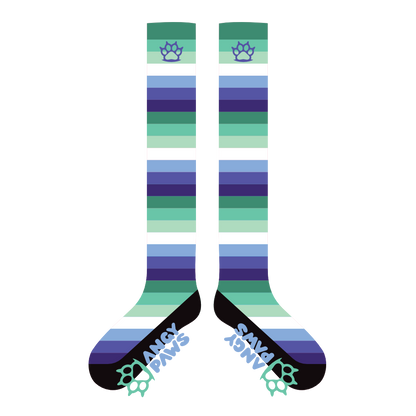 MLM (Gay) Pride Sockies