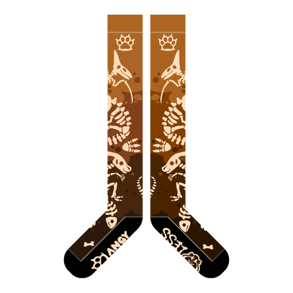 Calcetines de Huesos de Dinosaurio