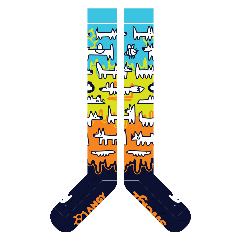 Pack of Idiots Sockies