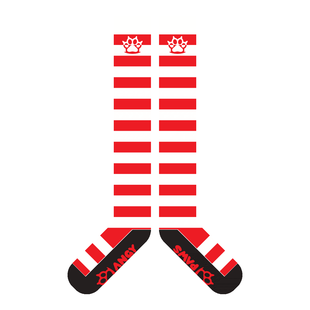 Red vs White Sockies
