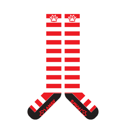 Red vs White Sockies