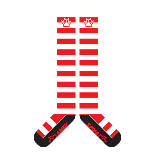 Red vs White Sockies
