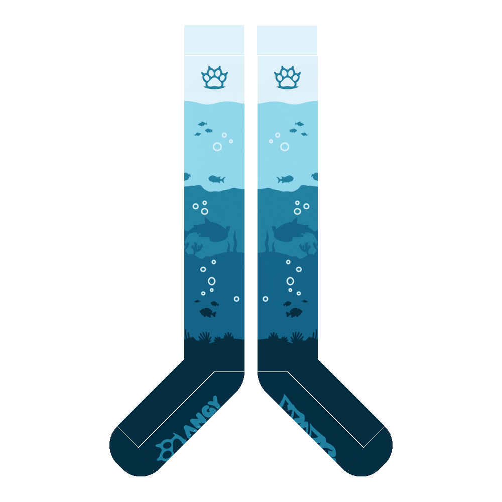Submerged World Sockies