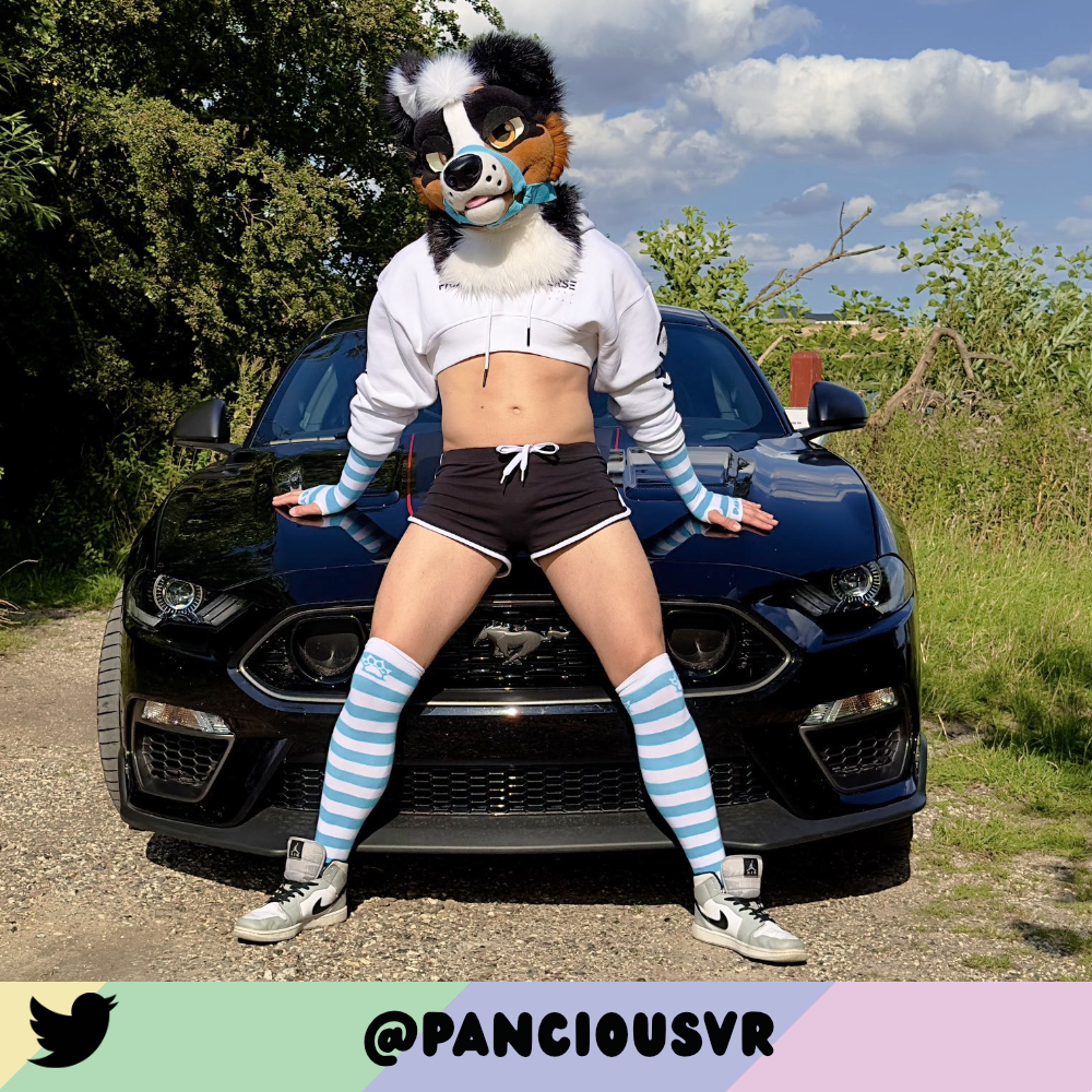 Light Blue vs White Sockies