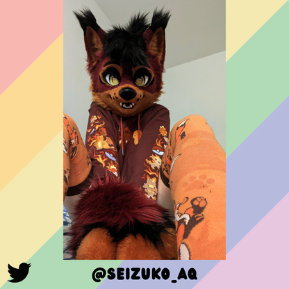 Chaussettes hautes Renard d'automne