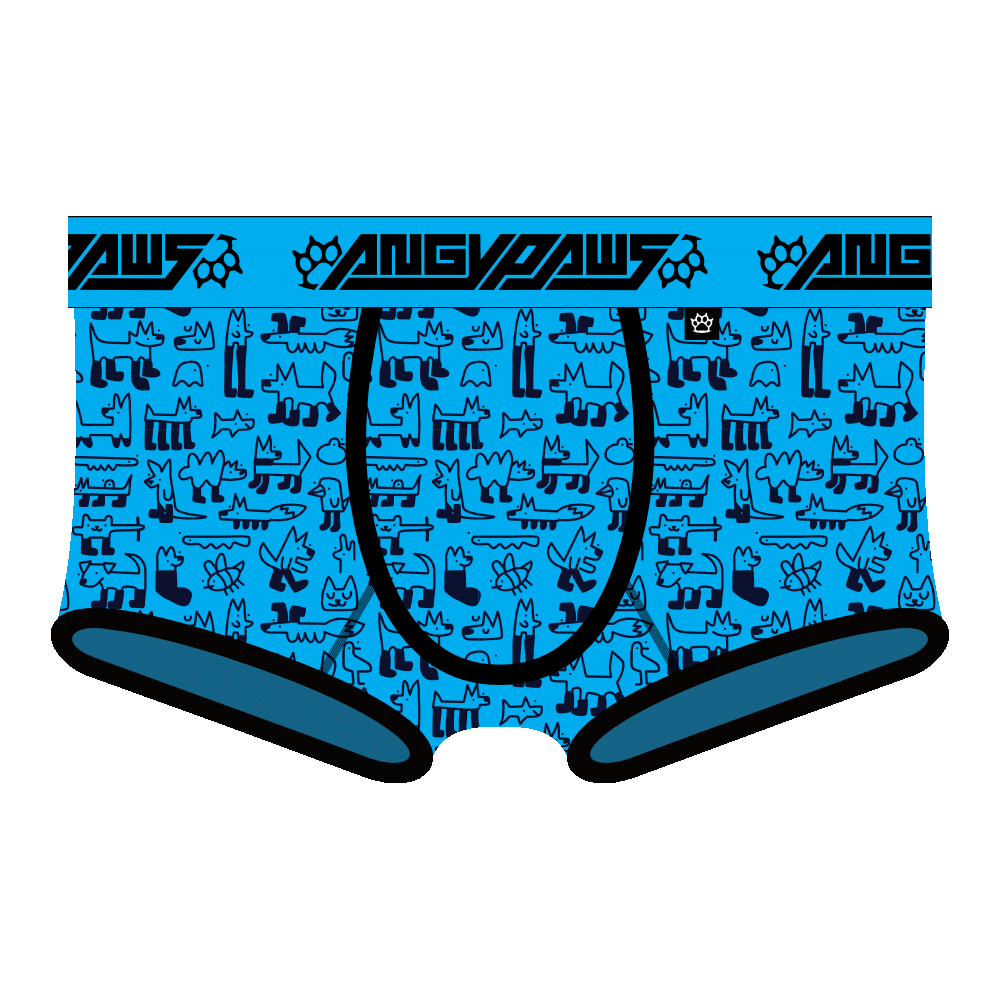 Socking Idiots Trunk