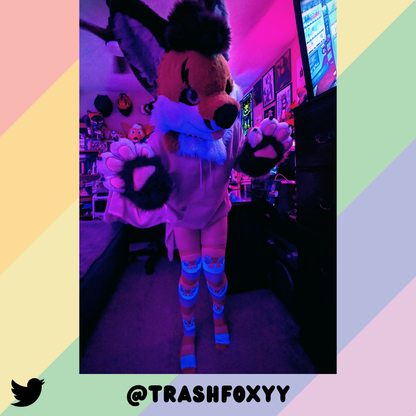 Chaussettes Femboy Pride