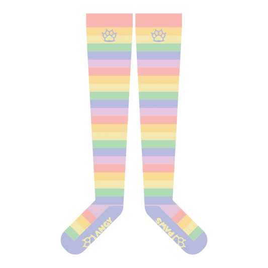 Pastel Rainbow Thigh High Sockies