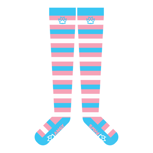 Trans Pride Thigh High Sockies