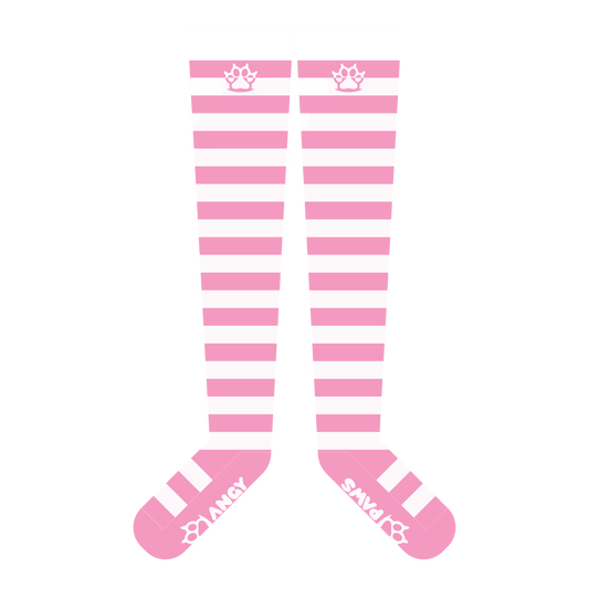 Light Pink vs White Thigh High Sockies