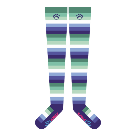 MLM Pride Thigh High Sockies