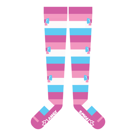 Femboy Pride Thigh High Sockies