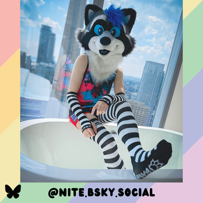 Black vs White Thigh High Sockies (old version)