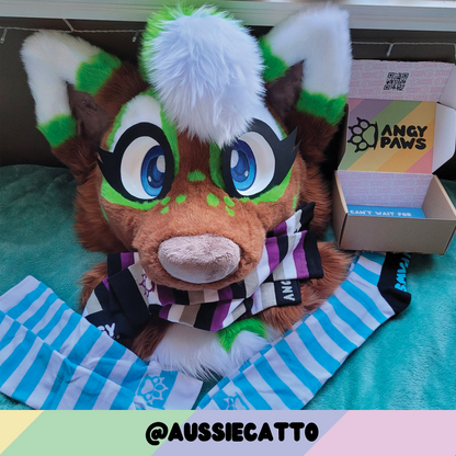 Ace Pride Sockies
