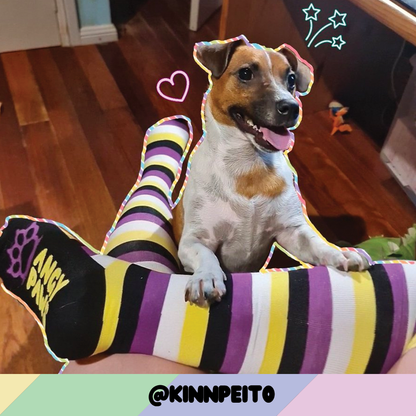 Enby Pride Sockies