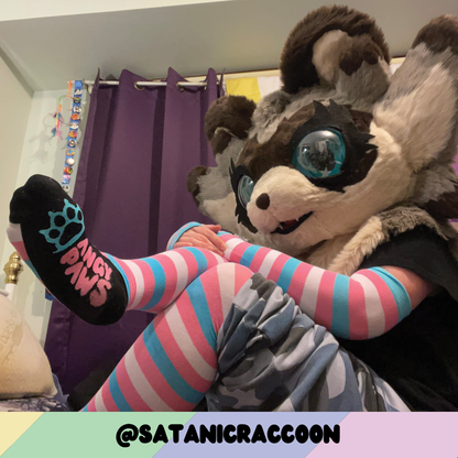 Trans Pride Sockies